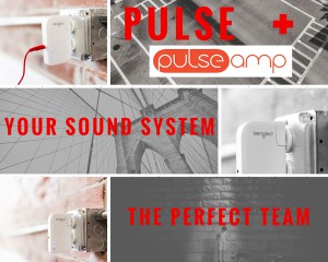 PULSE AMP